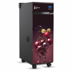 Lucky Mycrofine Diva Plus Aata Chakki 6.5 Kg Fully Automatic Domestic Flour Mill