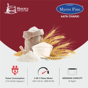 5 HP 2 IN 1 Commercial Aata Chakki